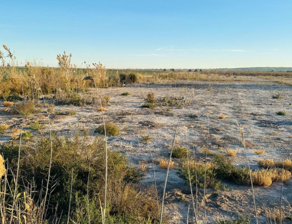 Terreno en venta en Partida Hoya