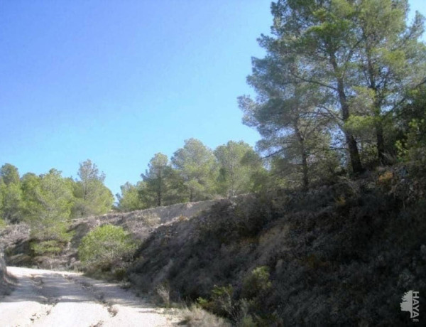 Terreno en venta en glorieta de los Carrascos