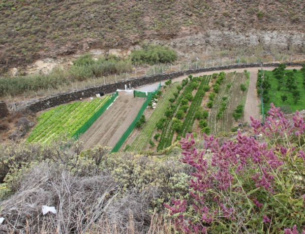 Casa rural en venta en carretera de Chile, 45