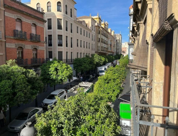 Alquiler de Oficina en Centro