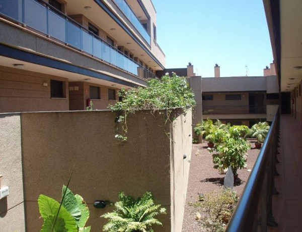 Alquiler de Piso en avenida Los Majuelos