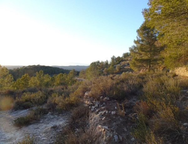 Terreno en venta en Mora d'Ebre