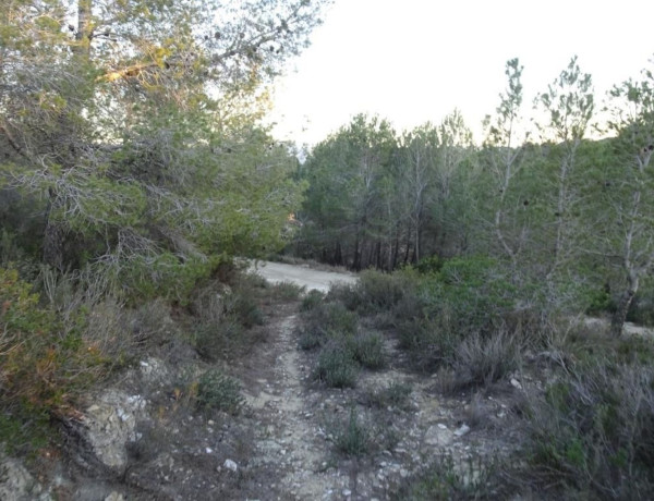 Terreno en venta en Mora d'Ebre