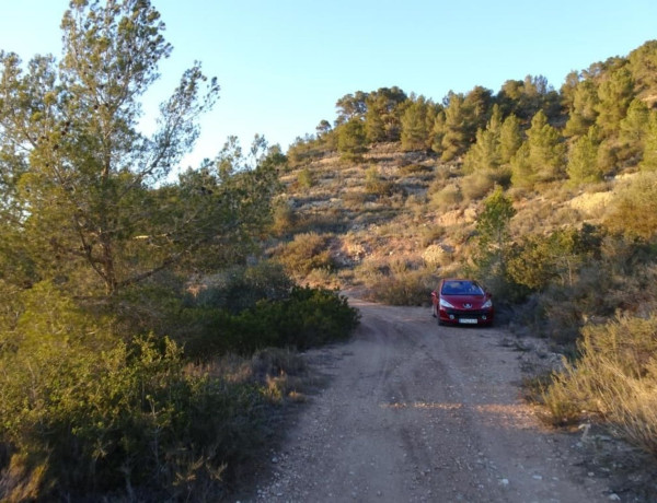 Terreno en venta en Mora d'Ebre