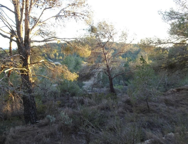 Terreno en venta en Mora d'Ebre