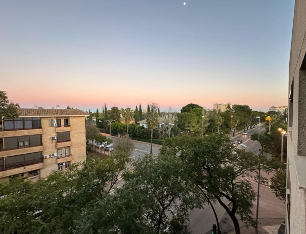 Alquiler de Piso en Divina Pastora - La Yeguada