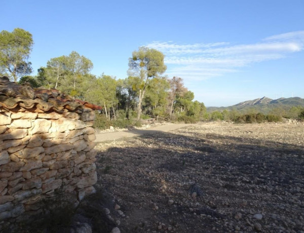 Terreno en venta en Asco