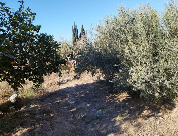 Terreno en venta en Las Calderonas s/n