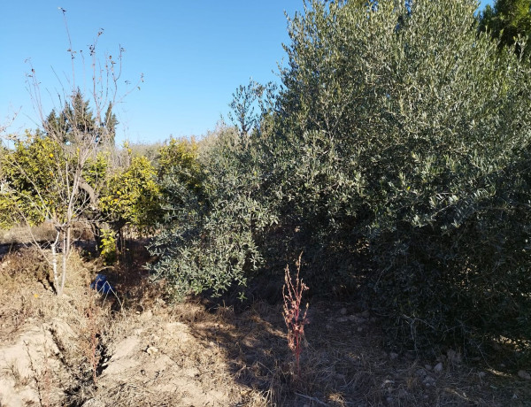 Terreno en venta en Las Calderonas s/n