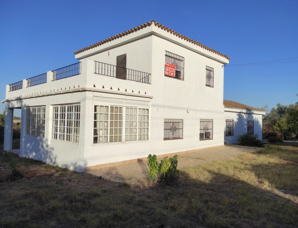 Casa o chalet independiente en venta en calle Lope de Vega, 18 C