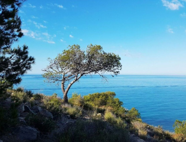 Piso en venta en Platja de Torres