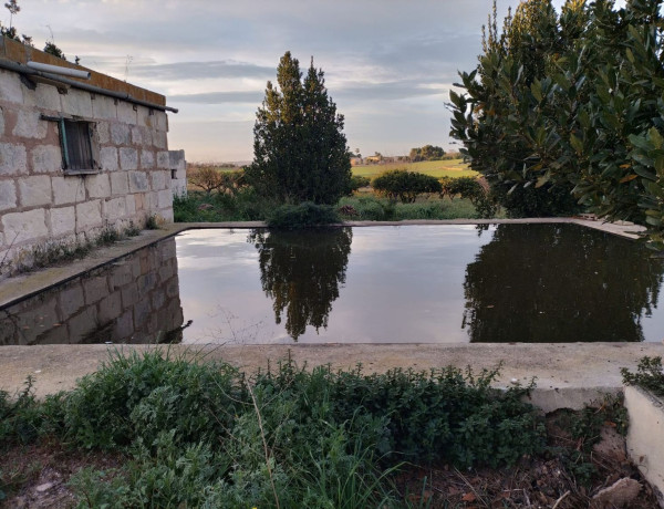 Finca rústica en venta en Porto Cristo