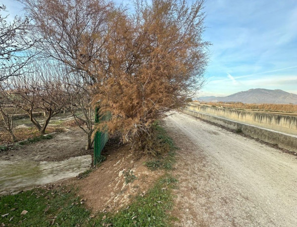 Terreno en venta en Chauchina