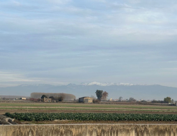 Terreno en venta en Chauchina