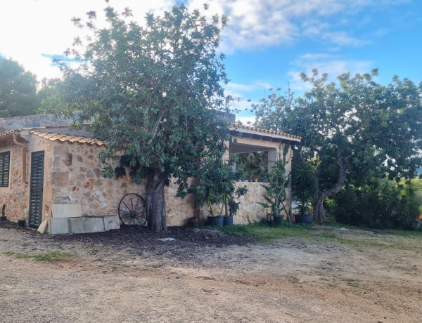 Alquiler de Finca rústica en Cala Murada