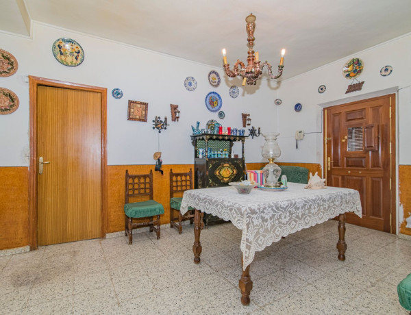 Casa o chalet independiente en venta en avenida de Carmen Morcillo