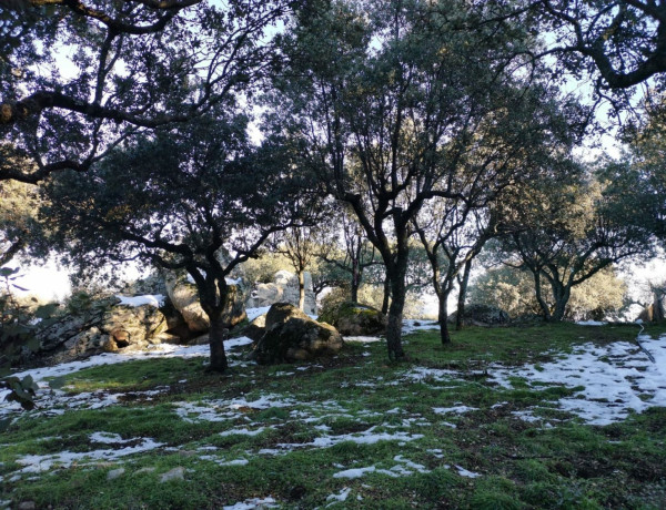 Terreno en venta en Las Zorreras - Monte Encinar