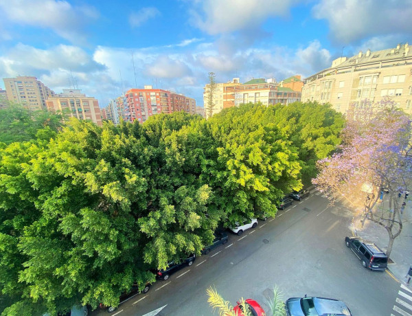 Alquiler de Estudio en calle Antonio Suárez, 31