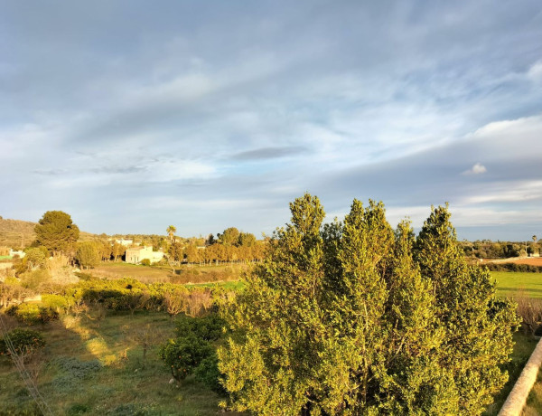 Finca rústica en venta en Porto Cristo