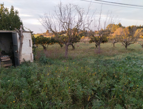 Finca rústica en venta en Porto Cristo