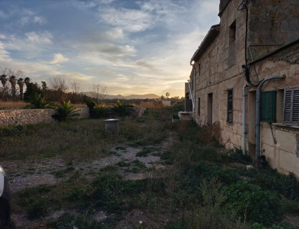 Finca rústica en venta en Porto Cristo