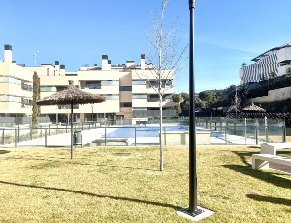 Alquiler de Piso en avenida Ángel Nieto