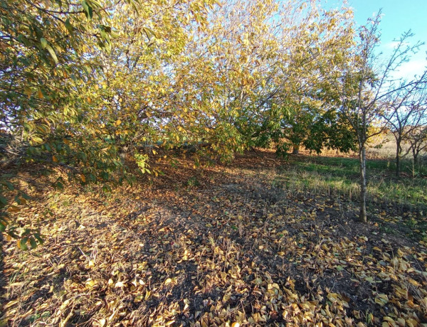 Terreno en venta en Villamayor de Gállego