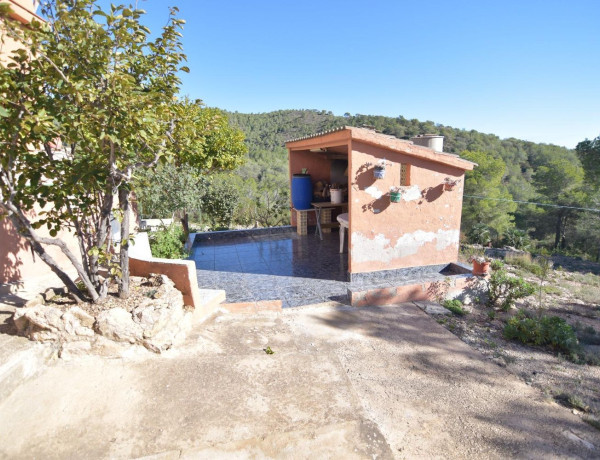 Casa o chalet independiente en venta en Mas Mateu, 2