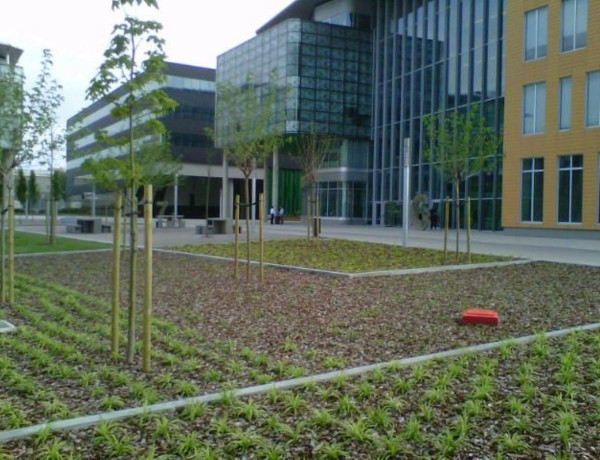 Alquiler de Oficina en plaza de Pau