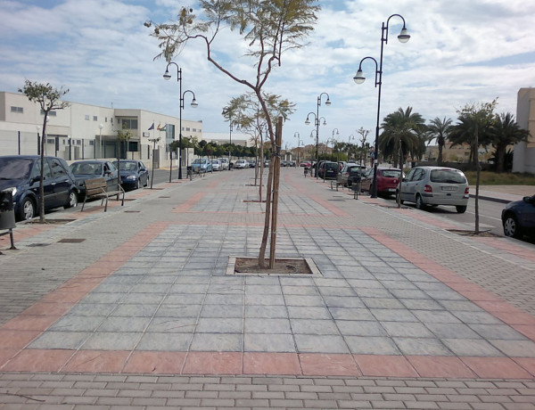 Alquiler de Piso en calle D. Ramon Orozco Gerez