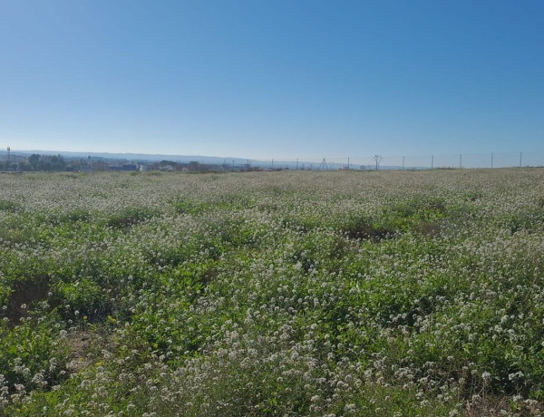 Terreno en venta en Alcalá del Río