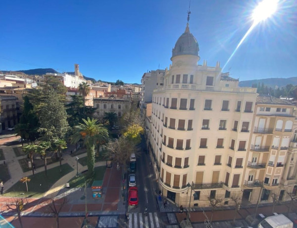 Piso en venta en avenida País Valencià, 36