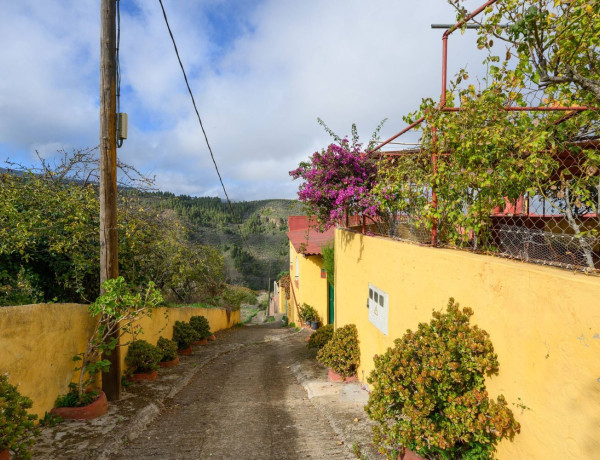 Finca rústica en venta en Vega de San Mateo