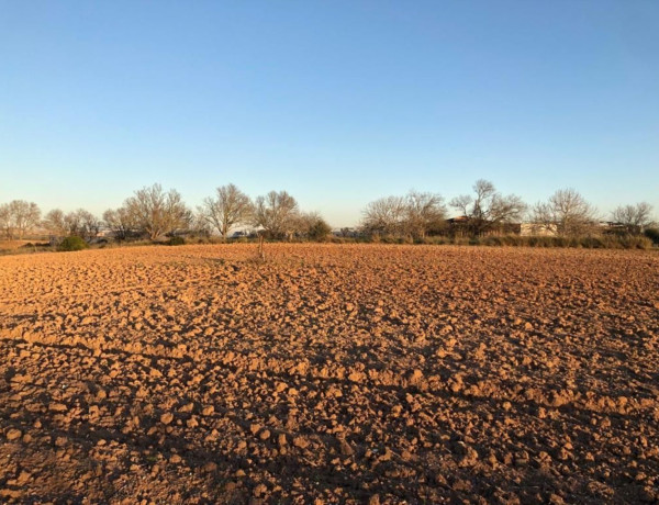 Terreno en venta en Urb. Miralamar, Pinar de los Franceses - Marquesado