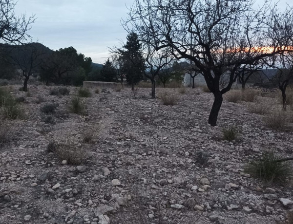 Terreno en venta en paraje de la bermeja, 12