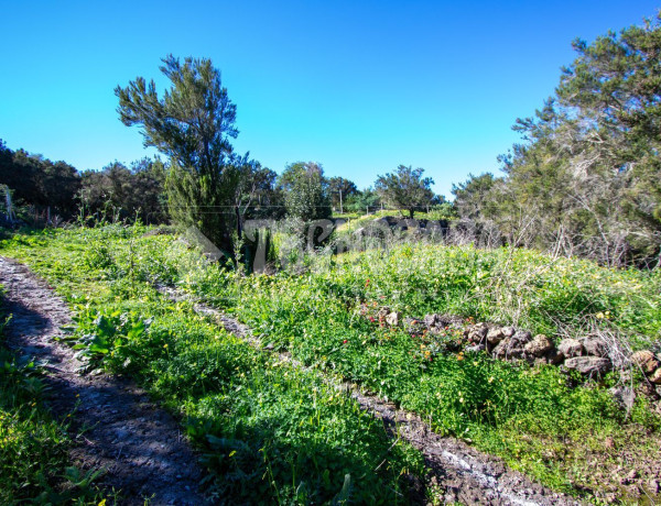 Terreno en venta en calle El Sol