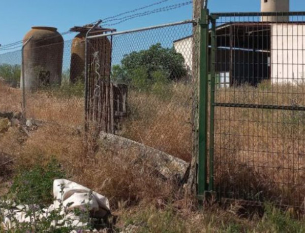 Terreno en venta en Torralba de Calatrava