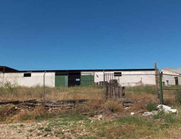 Terreno en venta en Torralba de Calatrava