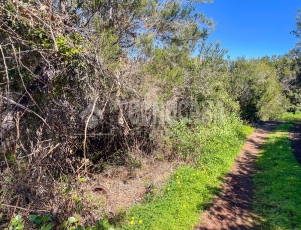 Terreno en venta en C. de Rosa Vieja