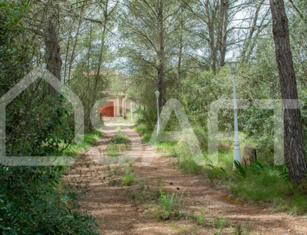 Preciosa casa en finca rústica cerca de Pina