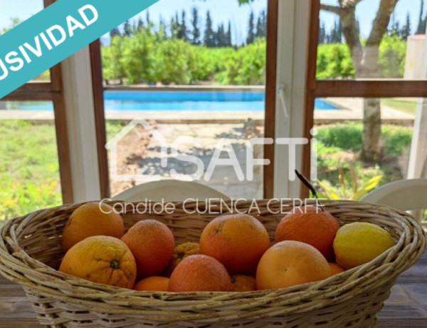 ¡Se vende finca agrícola de 47 ha! Ideal para Inversores.