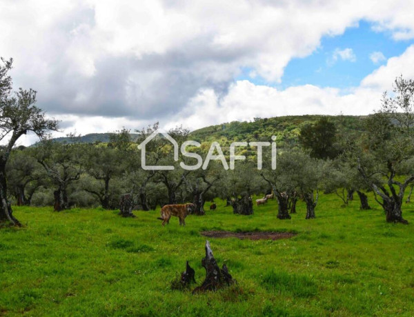 Rustic land For sell in Perales Del Puerto in Cáceres 