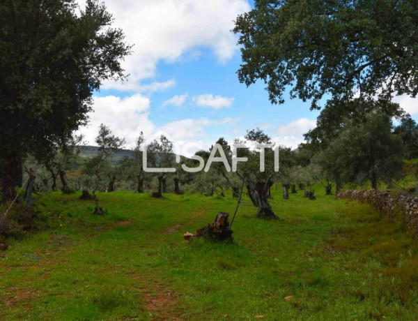 Rustic land For sell in Perales Del Puerto in Cáceres 