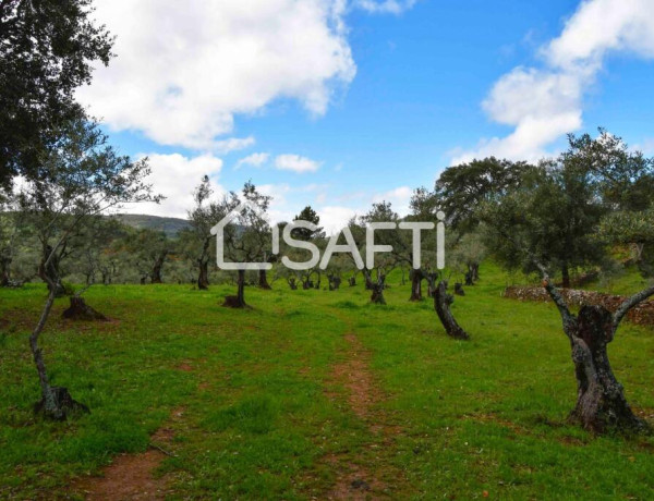 Rustic land For sell in Perales Del Puerto in Cáceres 