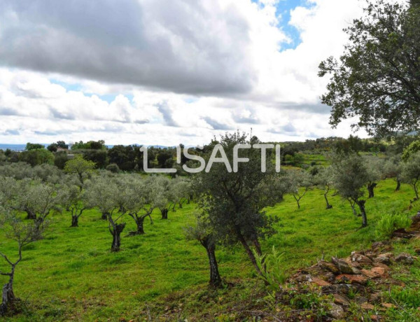 Rustic land For sell in Perales Del Puerto in Cáceres 