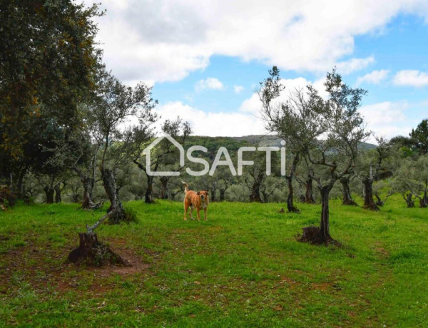 Rustic land For sell in Perales Del Puerto in Cáceres 