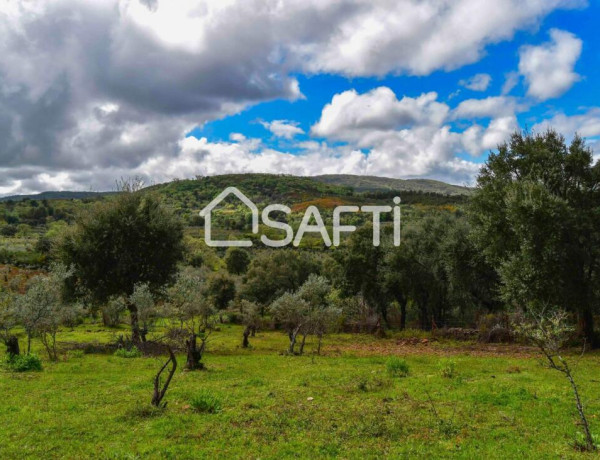 Rustic land For sell in Perales Del Puerto in Cáceres 