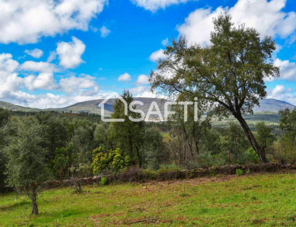 Rustic land For sell in Perales Del Puerto in Cáceres 