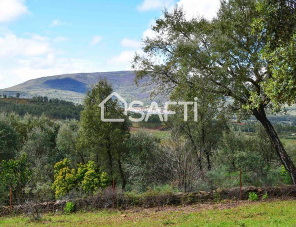 Rustic land For sell in Perales Del Puerto in Cáceres 