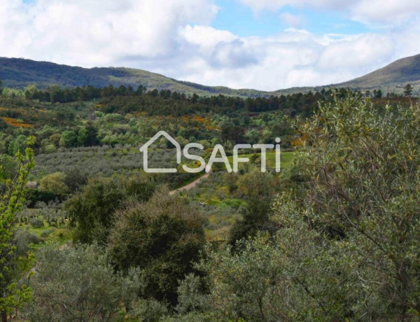 Rustic land For sell in Perales Del Puerto in Cáceres 